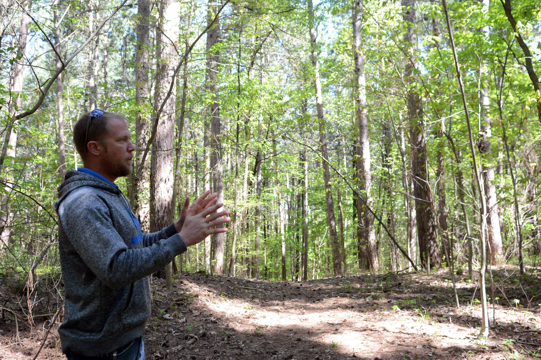 West Baraboo Village Forest